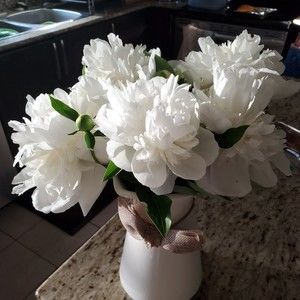 Meet your Posher, Stavroula